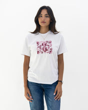 Load image into Gallery viewer, JOD 45.00 - Jouri Box - Ombre' {HEBRON}